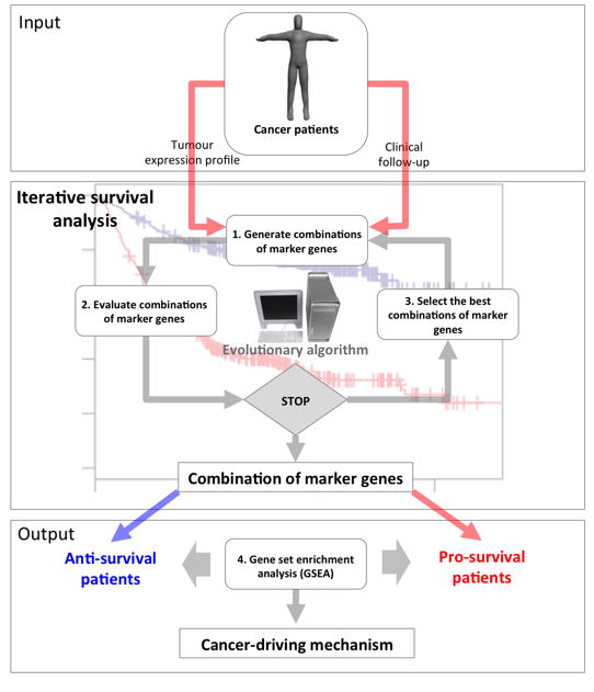 Description: Macintosh HD:Users:isaaccrespo:Desktop:NPJ_SBA_submission:Fig.2.pdf